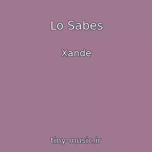 کاور آهنگ Lo Sabes از Xande