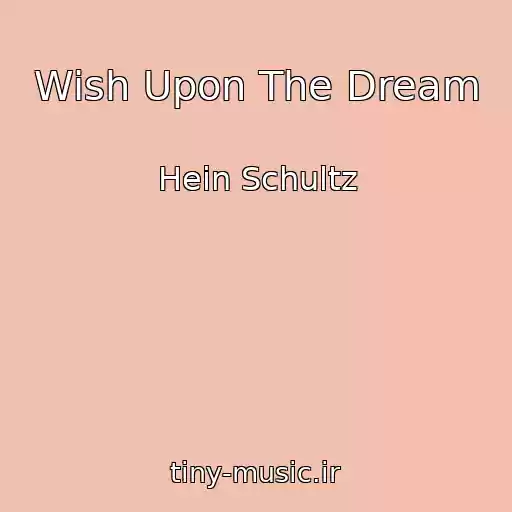 کاور آهنگ Wish Upon The Dream از Hein Schultz
