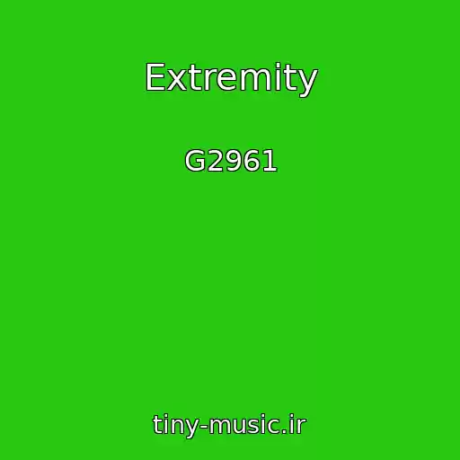 کاور آهنگ Extremity از G2961