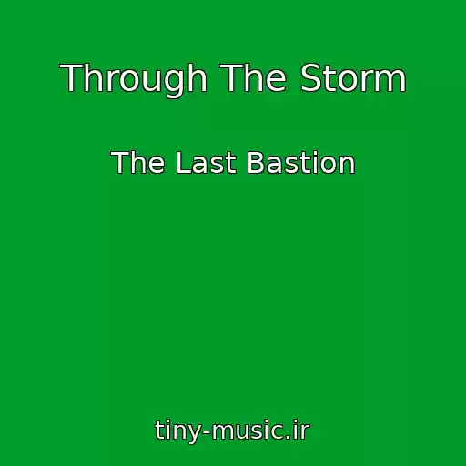 کاور آهنگ Through The Storm از The Last Bastion
