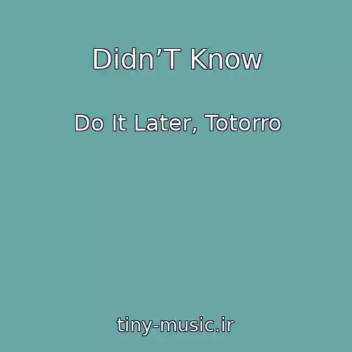 کاور آهنگ Didn’T Know از Do It Later, Totorro
