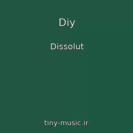 کاور آهنگ Diy از Dissolut