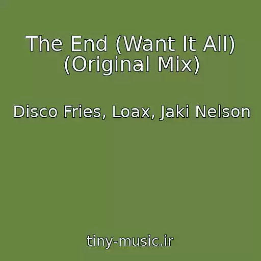 کاور آهنگ The End (Want It All) (Original Mix) از Disco Fries, Loax, Jaki Nelson