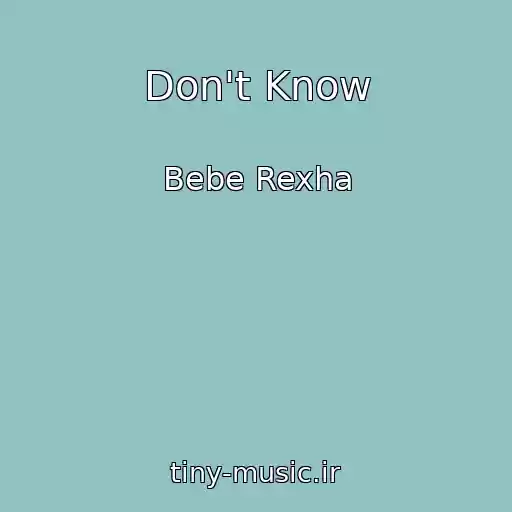 کاور آهنگ Don't Know از Bebe Rexha