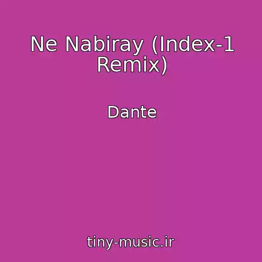کاور آهنگ Ne Nabiray (Index-1 Remix) از Dante