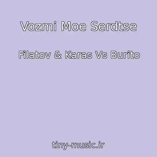 کاور آهنگ Vozmi Moe Serdtse از Filatov & Karas Vs Burito