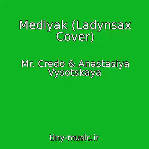 کاور آهنگ Medlyak (Ladynsax Cover) از Mr. Credo & Anastasiya Vysotskaya