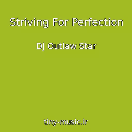 کاور آهنگ Striving For Perfection از Dj Outlaw Star