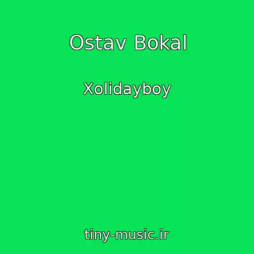 کاور آهنگ Ostav Bokal از Xolidayboy
