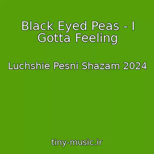 کاور آهنگ Black Eyed Peas - I Gotta Feeling از Luchshie Pesni Shazam 2024