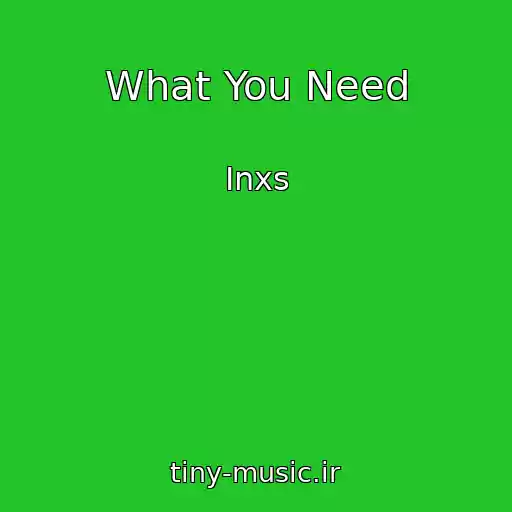 کاور آهنگ What You Need از Inxs