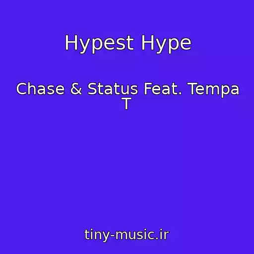 کاور آهنگ Hypest Hype از Chase & Status Feat. Tempa T