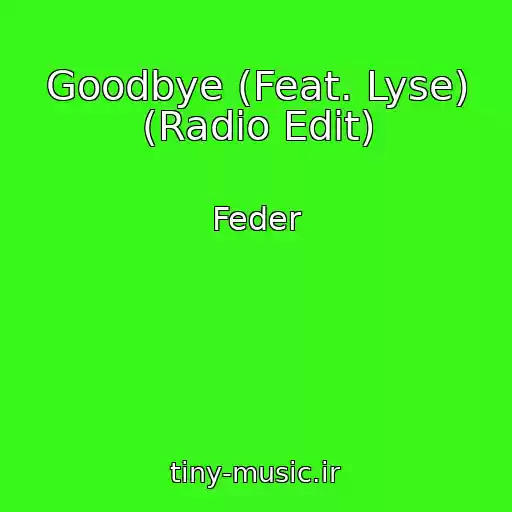 کاور آهنگ Goodbye (Feat. Lyse) (Radio Edit) از Feder