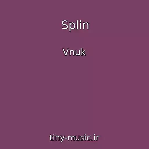 کاور آهنگ Splin از Vnuk
