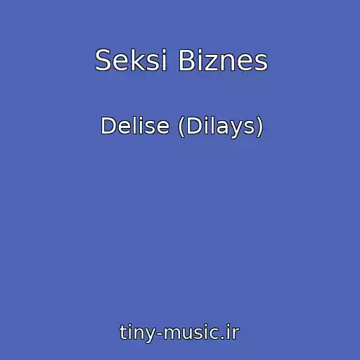 کاور آهنگ Seksi Biznes از Delise (Dilays)