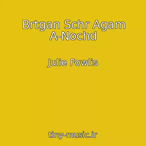 کاور آهنگ Brtgan Schr Agam A-Nochd از Julie Fowlis