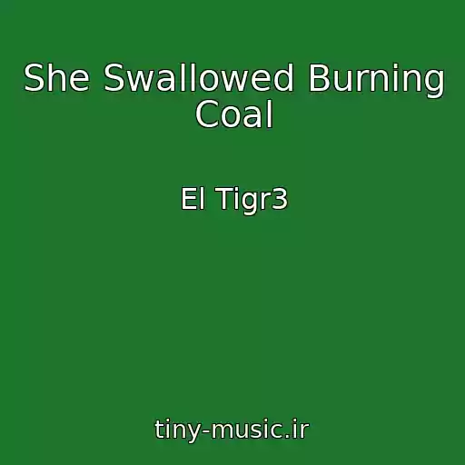کاور آهنگ She Swallowed Burning Coal از El Tigr3