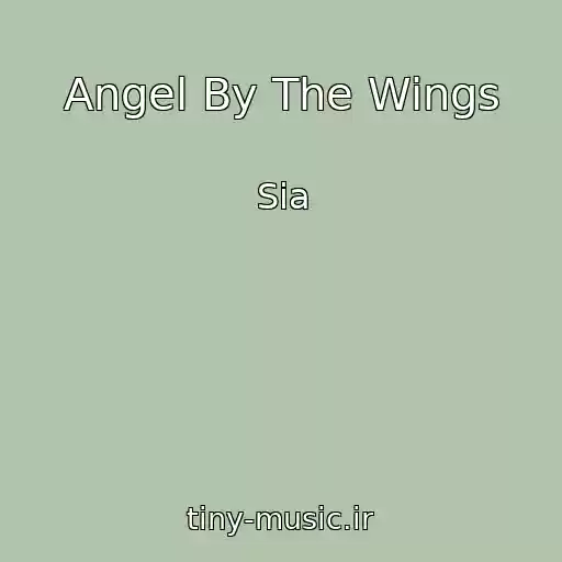کاور آهنگ Angel By The Wings از Sia