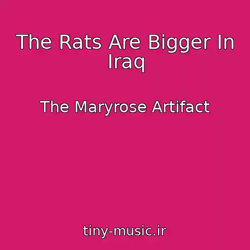 کاور آهنگ The Rats Are Bigger In Iraq از The Maryrose Artifact