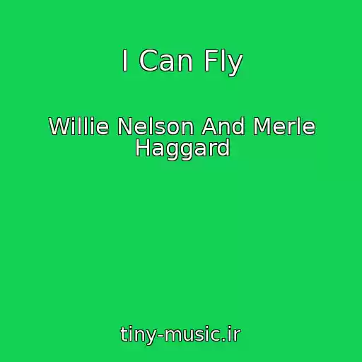 کاور آهنگ I Can Fly از Willie Nelson And Merle Haggard