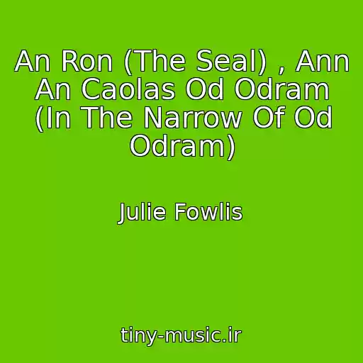 کاور آهنگ An Ron (The Seal) , Ann An Caolas Od Odram (In The Narrow Of Od Odram) از Julie Fowlis