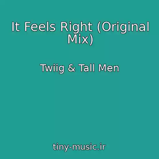 کاور آهنگ It Feels Right (Original Mix) از Twiig & Tall Men