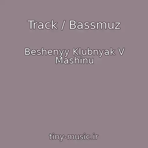 کاور آهنگ Track / Bassmuz از Beshenyy Klubnyak V Mashinu