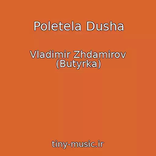 کاور آهنگ Poletela Dusha از Vladimir Zhdamirov (Butyrka)