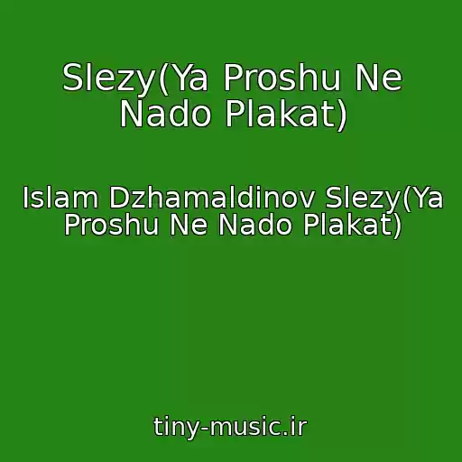 کاور آهنگ Slezy(Ya Proshu Ne Nado Plakat) از Islam Dzhamaldinov Slezy(Ya Proshu Ne Nado Plakat)