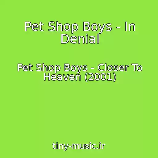 کاور آهنگ Pet Shop Boys - In Denial از Pet Shop Boys - Closer To Heaven (2001)