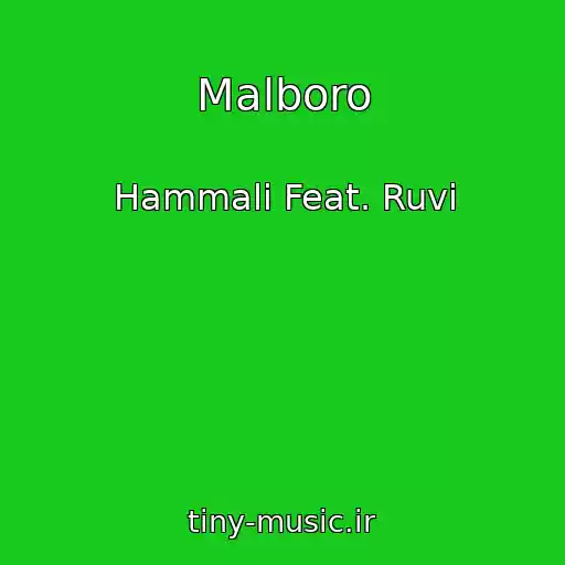 کاور آهنگ Malboro از Hammali Feat. Ruvi