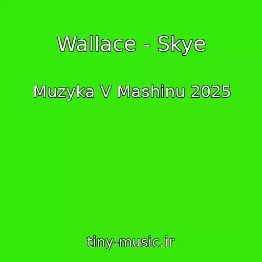 کاور آهنگ Wallace - Skye از Muzyka V Mashinu 2025