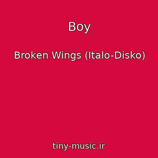 کاور آهنگ Boy از Broken Wings (Italo-Disko)