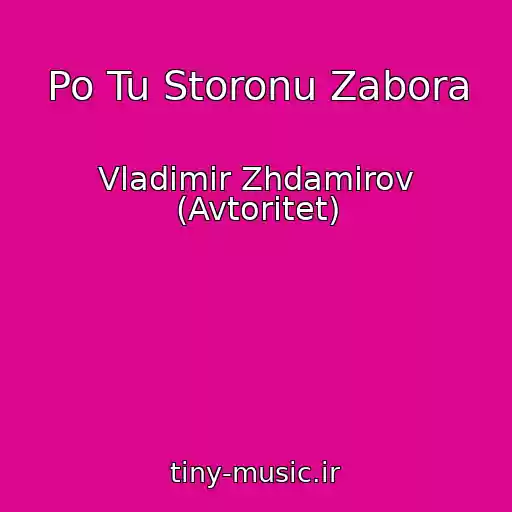 کاور آهنگ Po Tu Storonu Zabora از Vladimir Zhdamirov (Avtoritet)