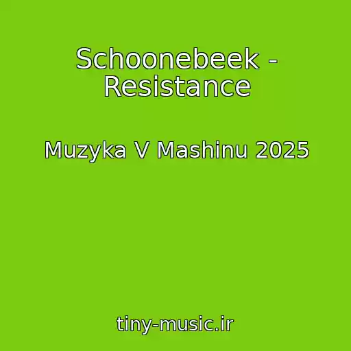 کاور آهنگ Schoonebeek - Resistance از Muzyka V Mashinu 2025