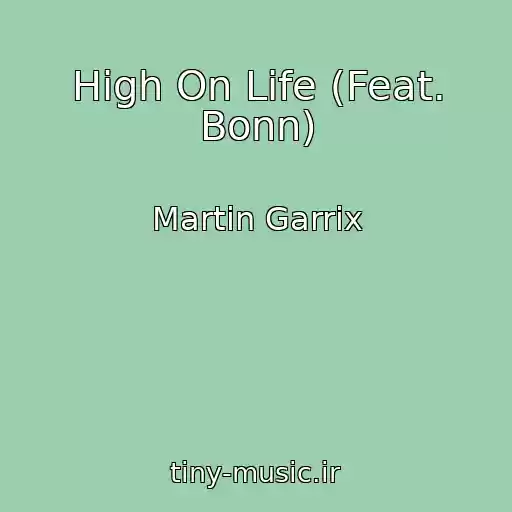 کاور آهنگ High On Life (Feat. Bonn) از Martin Garrix
