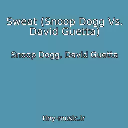 کاور آهنگ Sweat (Snoop Dogg Vs. David Guetta) از Snoop Dogg, David Guetta
