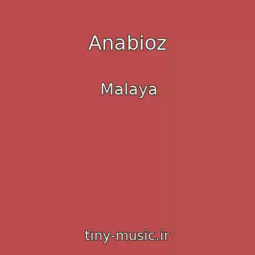 کاور آهنگ Anabioz از Malaya