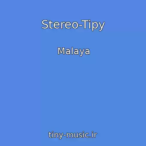 کاور آهنگ Stereo-Tipy از Malaya