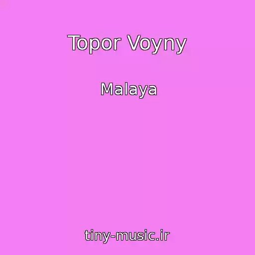 کاور آهنگ Topor Voyny از Malaya