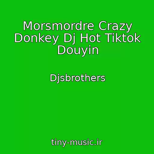 کاور آهنگ Morsmordre Crazy Donkey Dj Hot Tiktok Douyin از Djsbrothers