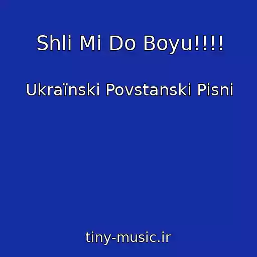 کاور آهنگ Shli Mi Do Boyu!!!! از Ukraїnskі Povstanskі Pіsnі