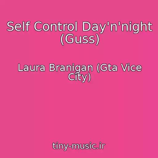 کاور آهنگ Self Control Day'n'night (Guss) از Laura Branigan (Gta Vice City)