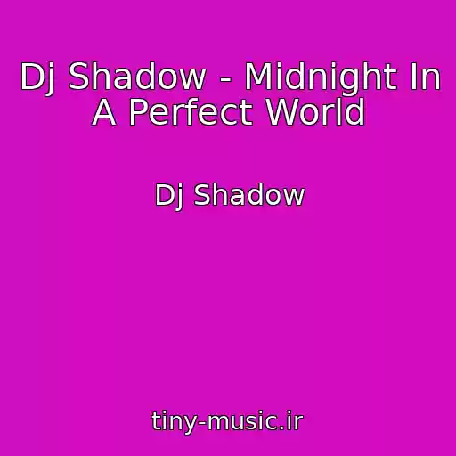 کاور آهنگ Dj Shadow - Midnight In A Perfect World از Dj Shadow