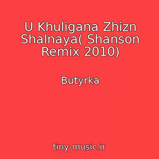 کاور آهنگ U Khuligana Zhizn Shalnaya( Shanson Remix 2010) از Butyrka