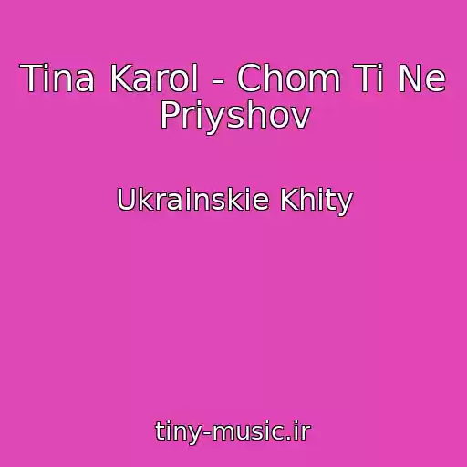کاور آهنگ Tina Karol - Chom Ti Ne Priyshov از Ukrainskie Khity