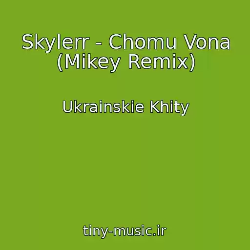 کاور آهنگ Skylerr - Chomu Vona (Mikey Remix) از Ukrainskie Khity