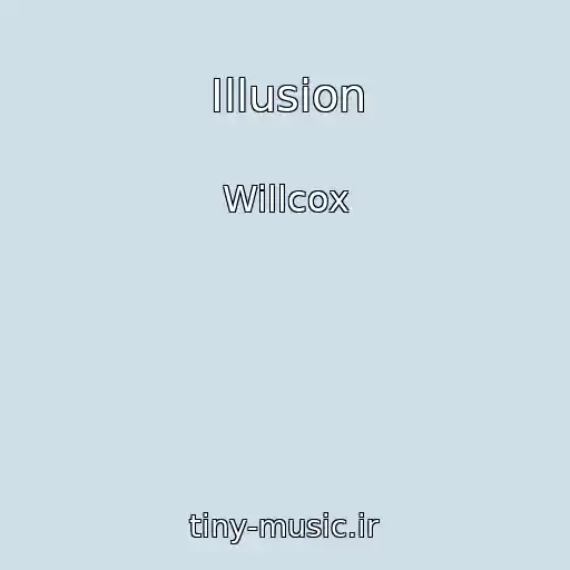 کاور آهنگ Illusion از Willcox