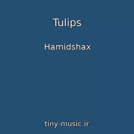 کاور آهنگ Tulips از Hamidshax