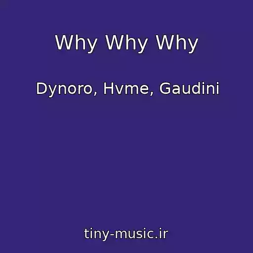 کاور آهنگ Why Why Why از Dynoro, Hvme, Gaudini